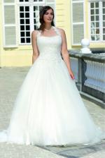 LadybirdLS416043_0220